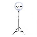 Lampa circulara profesionala YQ-460B, 48 W, 416 x LED SMD, 18 inch, 6000 lm, 3 trepte lumina, telecomanda, trepied inclus, General