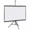 vidaXL Ecran de proiecție cu trepied 50 inch 16:9