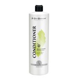 Balsam Iv San Bernard Green Apple, pentru caini si pisici, 1l