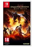 Dragons Dogma Dark Arisen NSW