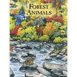 Forest Animals Coloring Book