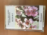 Doina Teodorovici si Ion Aldea Teodorovici rasai caseta audio muzica usoara folk, Casete audio, Electrecord