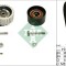 INA 530 0561 10 Set curea de distributie