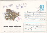 bnk ip URSS 1985 - fauna - circulat spre Romania
