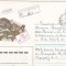 bnk ip URSS 1985 - fauna - circulat spre Romania