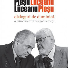 Dialoguri De Duminica, Gabriel Liiceanu, Andrei Plesu - Editura Humanitas