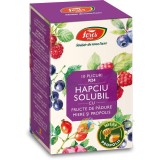 Hapciu Solubil cu Fructe de Padure 10 plicuri