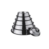 CASTRON INOX ANTIDERAPANT MOL 0.45L PENTRU CAINI