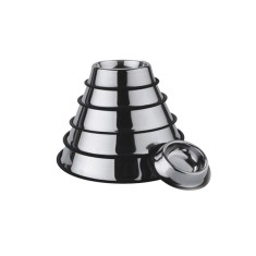CASTRON INOX ANTIDERAPANT MOL 0.30L