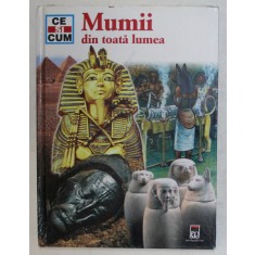 MUMII DIN TOATA LUMEA , DIN SERIA CE SI CUM de RENATE GERMER , 2006