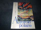 S I ISAEV - AURORELE POLARE