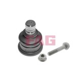 FAG Articulatie sarcina/ghidare