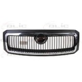 Grila radiator SKODA FABIA I (6Y2) (1999 - 2008) BLIC 6502-07-7514990P