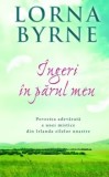 Cumpara ieftin Ingeri in parul meu. Povestea adevarata a unei mistice din Irlanda zilelor noastre/Lorna Byrne
