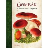 Gomb&aacute;k - K&eacute;pes hat&aacute;roz&oacute; - Mar&iacute;a Aldave