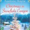 Christmas in Snowflake Canyon