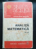 Analiză matematică. Aplicații I - Cătălin-Petru Nicolescu