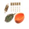 SET METHOD FEEDER JAXON E2 CU MATRITA SI CONECTOR 40GR
