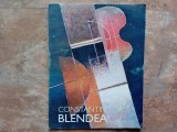 Constantin Blendea - Retrospectiva pictura, desen (Autograf DAN HAULICA)