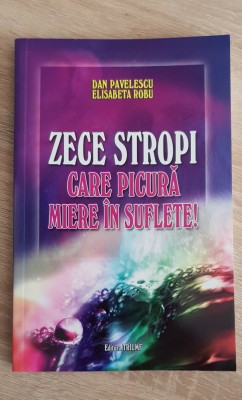 Zece stropi care picură miere &amp;icirc;n suflete! - Dan Pavelescu, Elisabeta Robu foto