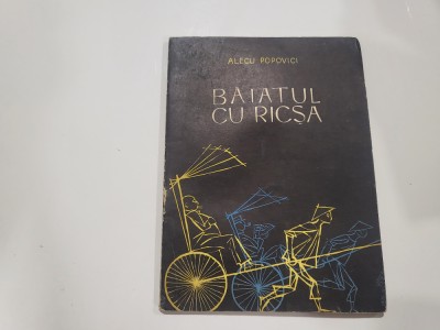 Baiatul cu ricsa de Alecu Popovici foto