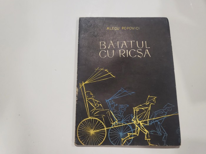 Baiatul cu ricsa de Alecu Popovici