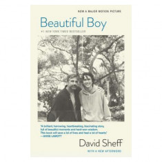 Beautiful Boy (Tie-In): A Father's Journey Through His Son's Addiction