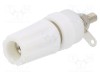 Conector banană 4mm soclu 15A 250VDC CLIFF alb nichelat 45mm