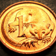 Moneda exotica 1 CENT - AUSTRALIA, anul 1984 * cod 4213 B = UNC