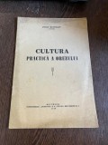 Petre Munteanu Cultura practica a orezului (1940)