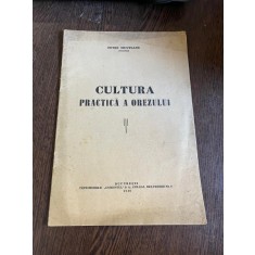 Petre Munteanu Cultura practica a orezului (1940)