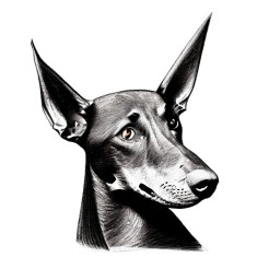 Sticker decorativ, Caine, Negru, 76 cm, 8297ST foto