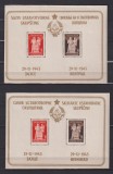 IUGOSLAVIA 1945 MI. BL. 3, I +II MNH