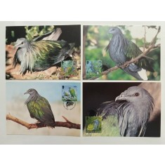 Solomon Islands 1993 - Porumbelul Nicobar, serie CarteMaxima