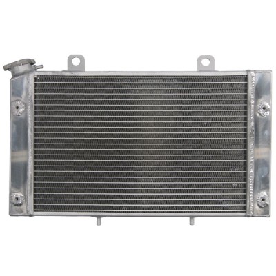RADIATOR YAMAHA YXR 700 2008 2013 foto