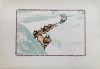 Plansa Didactica CAINI TRAGAND LA SANIE, Animale Domestice, Anii &#039;80, Policroma, 23.8x16.8cm, Carti Copii, Vintage