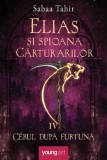 Elias si spioana Carturarilor IV: Cerul dupa furtuna - Grupul Art