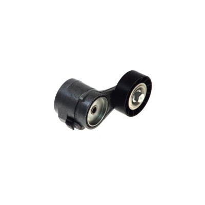 Intinzator curea OPEL TIGRA 95 DAYCO APV1020 foto