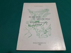 PE DRUMUL CU ARHANGHELI * INSEMNARI DIN VIA?A UNUI LEGIONAR/ CORNELIU GEORGESCU foto