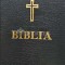 Biblia sau Sfanta Scriptura a Vechiului si Noului Testament (1994) - 1994 (AP142)