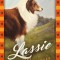 Lassie und ihre Abenteuer