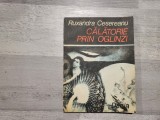 Calatorie prin oglinzi de Ruxandra Cesereanu