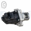 DELPHI EG10496-12B1 Supapa EGR