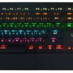 Tastatura Gaming Mecanica SPACER SPKB-MK-01, USB, iluminare RGB (Negru)