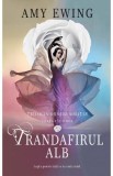 Trandafirul alb. Seria Orasul Solitar. Vol.2 - Amy Ewing