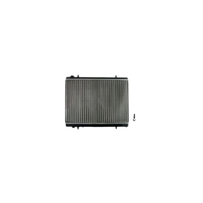 Radiator Apa Citroen Xsara Picasso N68 Denso Drm21035 foto