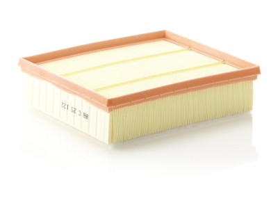 MANN-FILTER C 25 122 Filtru aer foto