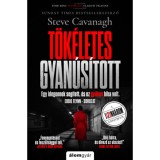 T&ouml;k&eacute;letes gyan&uacute;s&iacute;tott - Steve Cavanagh