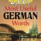 2,001 Most Useful German Words