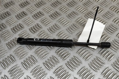 Amortizor capota st&amp;acirc;nga față TESLA MODEL Y 2024 OEM: 1692576-00-A | 30760472 foto